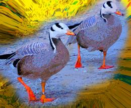 GoosePeoples